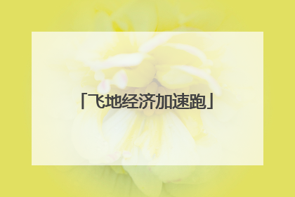 飞地经济加速跑