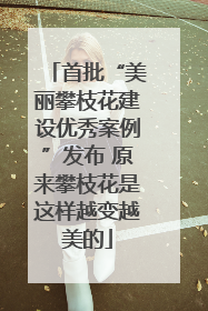 首批“美丽攀枝花建设优秀案例”发布 原来攀枝花是这样越变越美的