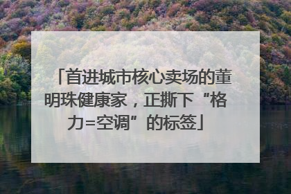 首进城市核心卖场的董明珠健康家，正撕下“格力=空调”的标签