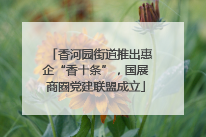 香河园街道推出惠企“香十条”，国展商圈党建联盟成立