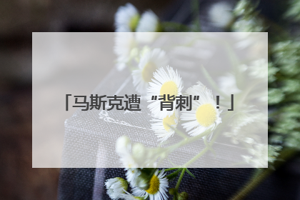 马斯克遭“背刺”！