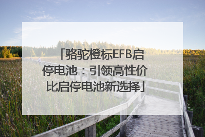 骆驼橙标EFB启停电池：引领高性价比启停电池新选择