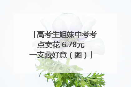 高考生姐妹中考考点卖花 6.78元一支藏好意（图）