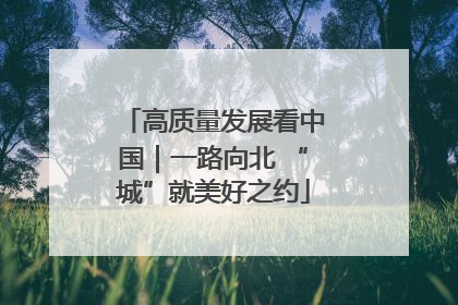 高质量发展看中国｜一路向北 “城”就美好之约