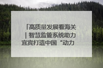高质量发展看海关｜智慧监管系统助力宜宾打造中国“动力电池之都”
