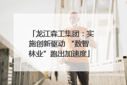 龙江森工集团：实施创新驱动 “数智林业”跑出加速度
