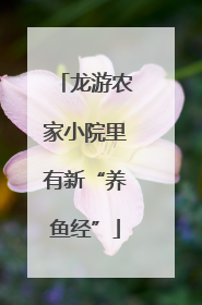 龙游农家小院里有新“养鱼经”