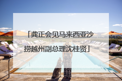 龚正会见马来西亚沙捞越州副总理沈桂贤