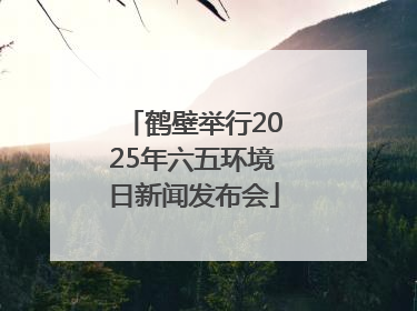 鹤壁举行2025年六五环境日新闻发布会