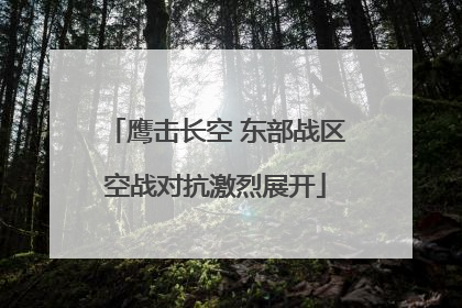 鹰击长空 东部战区空战对抗激烈展开