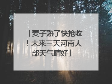 麦子熟了快抢收！未来三天河南大部天气晴好