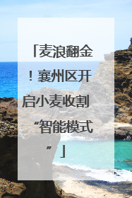 麦浪翻金！襄州区开启小麦收割“智能模式”