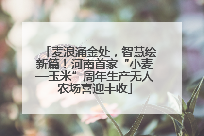麦浪涌金处，智慧绘新篇！河南首家“小麦—玉米”周年生产无人农场喜迎丰收