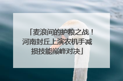 麦浪间的护粮之战！河南封丘上演农机手减损技能巅峰对决