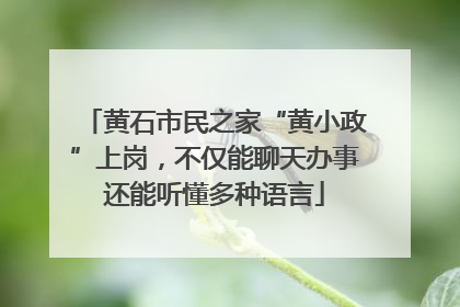 黄石市民之家“黄小政”上岗，不仅能聊天办事还能听懂多种语言