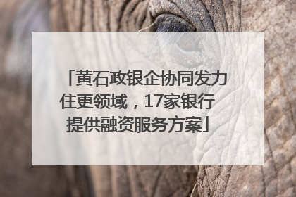 黄石政银企协同发力住更领域，17家银行提供融资服务方案