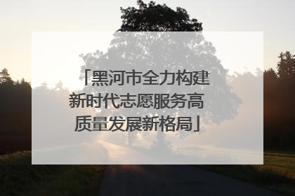 黑河市全力构建新时代志愿服务高质量发展新格局