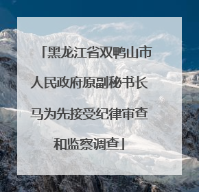 黑龙江省双鸭山市人民政府原副秘书长马为先接受纪律审查和监察调查