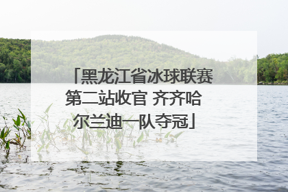 黑龙江省冰球联赛第二站收官 齐齐哈尔兰迪一队夺冠
