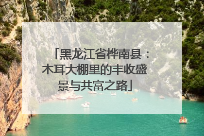 黑龙江省桦南县：木耳大棚里的丰收盛景与共富之路