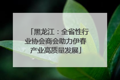 黑龙江：全省性行业协会商会助力伊春产业高质量发展