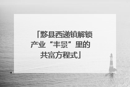 黟县西递镇解锁产业“丰景”里的共富方程式