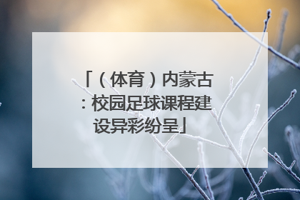 （体育）内蒙古：校园足球课程建设异彩纷呈