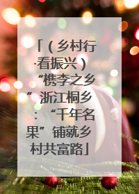 （乡村行·看振兴）“槜李之乡”浙江桐乡：“千年名果”铺就乡村共富路
