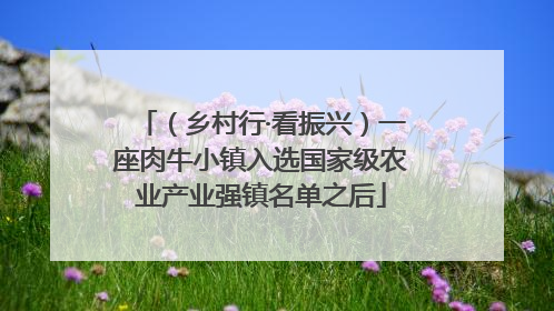 （乡村行·看振兴）一座肉牛小镇入选国家级农业产业强镇名单之后