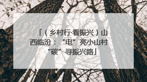 （乡村行·看振兴）山西临汾：“电”亮小山村 “碳”寻振兴路