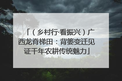 （乡村行·看振兴）广西龙脊梯田：背篓变迁见证千年农耕传统魅力