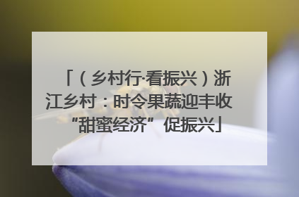 （乡村行·看振兴）浙江乡村：时令果蔬迎丰收 “甜蜜经济”促振兴