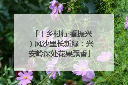 （乡村行·看振兴）风沙里长新绿：兴安岭深处花果飘香