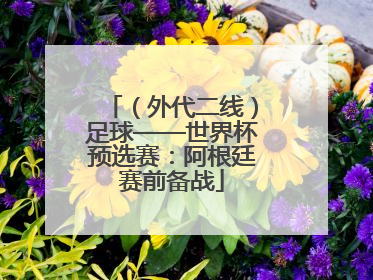 （外代二线）足球——世界杯预选赛：阿根廷赛前备战