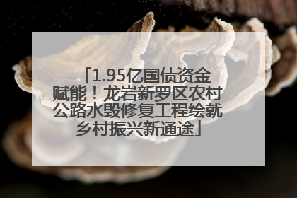 1.95亿国债资金赋能！龙岩新罗区农村公路水毁修复工程绘就乡村振兴新通途