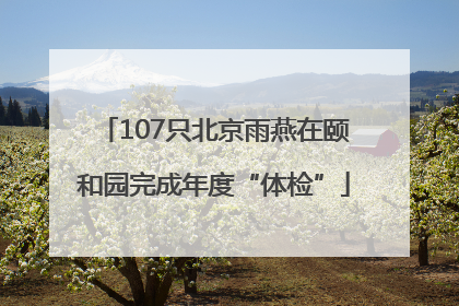 107只北京雨燕在颐和园完成年度“体检”