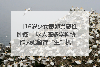 16岁少女患卵巢恶性肿瘤 十堰人医多学科协作为她留存“生”机