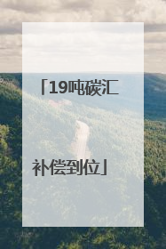 19吨碳汇补偿到位