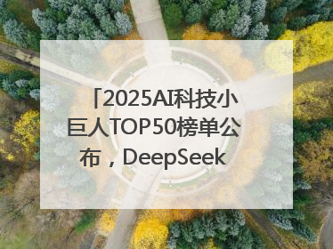 2025AI科技小巨人TOP50榜单公布，DeepSeek、宇树科技、蘑菇车联等企业荣誉上榜