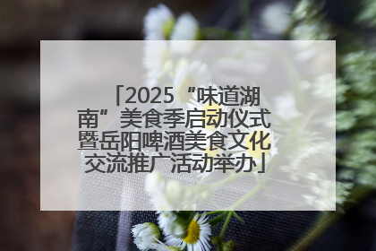 2025“味道湖南”美食季启动仪式暨岳阳啤酒美食文化交流推广活动举办