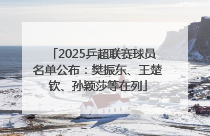 2025乒超联赛球员名单公布：樊振东、王楚钦、孙颖莎等在列