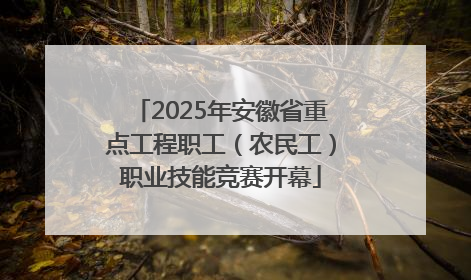 2025年安徽省重点工程职工（农民工）职业技能竞赛开幕