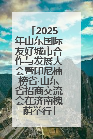 2025年山东国际友好城市合作与发展大会暨印尼楠榜省·山东省招商交流会在济南槐荫举行