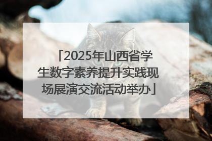 2025年山西省学生数字素养提升实践现场展演交流活动举办
