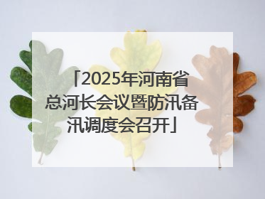 2025年河南省总河长会议暨防汛备汛调度会召开