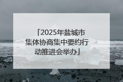 2025年盐城市集体协商集中要约行动推进会举办