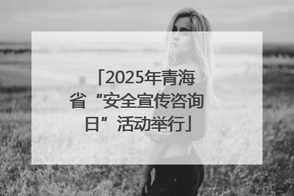 2025年青海省“安全宣传咨询日”活动举行