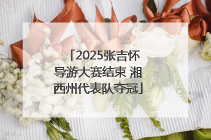 2025张吉怀导游大赛结束 湘西州代表队夺冠