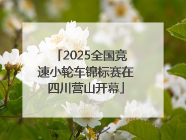 2025全国竞速小轮车锦标赛在四川营山开幕
