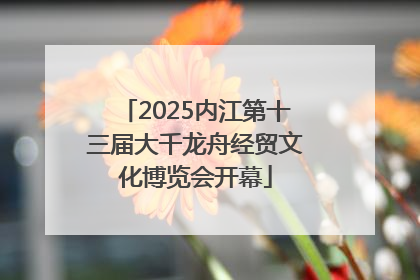 2025内江第十三届大千龙舟经贸文化博览会开幕
